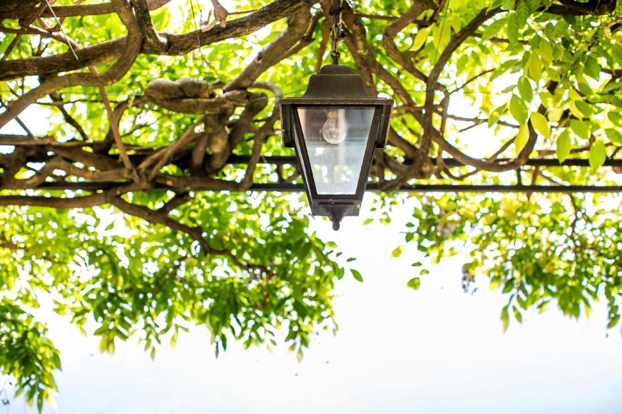 Villa Fioravante Moltrasio Εξωτερικό φωτογραφία